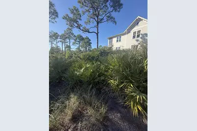 393 Cord Grass Way, Cape San Blas, FL 32456 - Photo 4