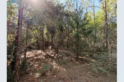 5040 Griffith Mill Road, Holt, FL 32564 - Photo 30