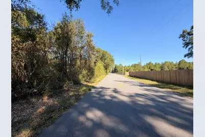 Parcel C Griffith Mill Road, Holt, FL 32564 - Photo 6