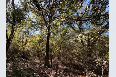 Parcel C Griffith Mill Road, Holt, FL 32564 - Photo 2