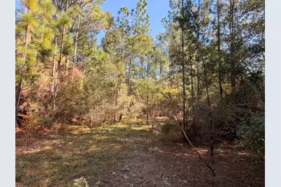 Parcel A Griffith Mill Road, Holt, FL 32564 - Photo 22