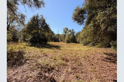 B & C Griffith Mill Road, Holt, FL 32564 - Photo 6