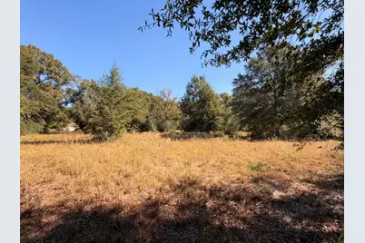 B & C Griffith Mill Road, Holt, FL 32564 - Photo 1