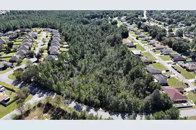 12.33 Acres Alicia Dr, Crestview, FL 32536 - Photo 2