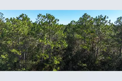12.33 Acres Alicia Dr, Crestview, FL 32536 - Photo 4