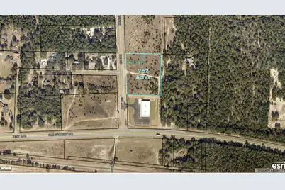 0 Highway 393 Highway, Crestview, FL 32539 - Photo 1
