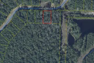 Lot 69 S J Hunter Way, Freeport, FL 32439 - Photo 1