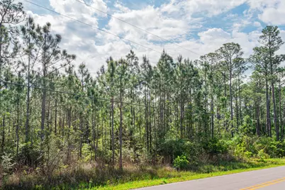 Tbd N County Hwy 393 #Lot 50, Santa Rosa Beach, FL 32459 - Photo 14