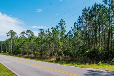 Tbd N County Hwy 393 #Lot 50, Santa Rosa Beach, FL 32459 - Photo 10