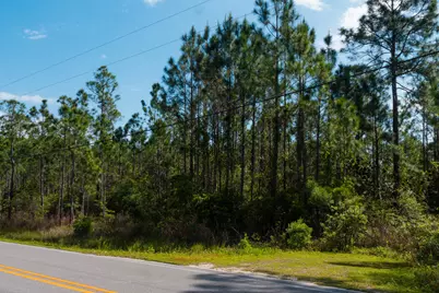 Tbd N County Hwy 393 #Lot 50, Santa Rosa Beach, FL 32459 - Photo 12