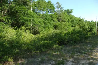 Xx E Bunting Way, Crestview, FL 32539 - Photo 4