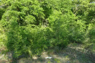 Xx E Bunting Way, Crestview, FL 32539 - Photo 2