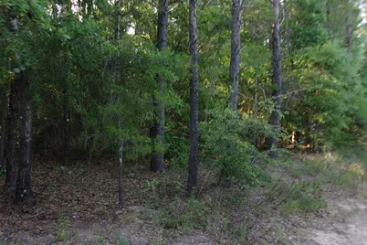 Xx E Bunting Way, Crestview, FL 32539 - Photo 6
