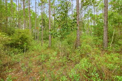 000 County Hwy 83A W, Freeport, FL 32439 - Photo 8