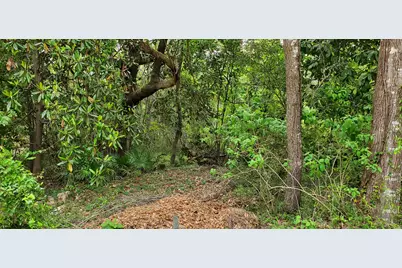 Lot 11 Live Oak Street, Niceville, FL 32578 - Photo 14