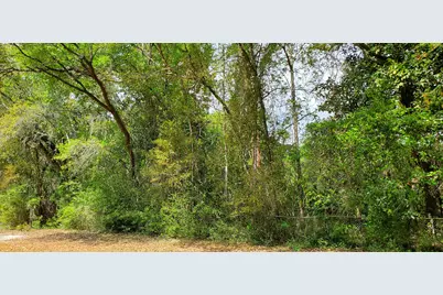 Lot 11 Live Oak Street, Niceville, FL 32578 - Photo 8