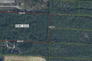 Xx Nellie Dr, Santa Rosa Beach, FL 32459 - Photo 1