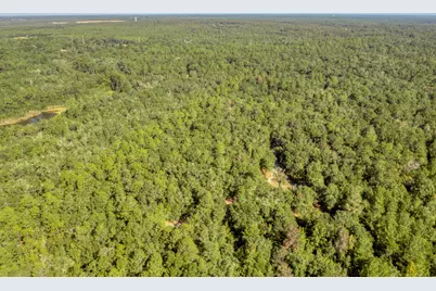 1.81 Ac Retreat Inlet, Baker, FL 32531 - Photo 16