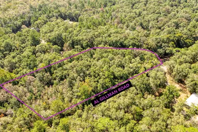 5001 Al Gillman Road Road, Baker, FL 32531 - Photo 2