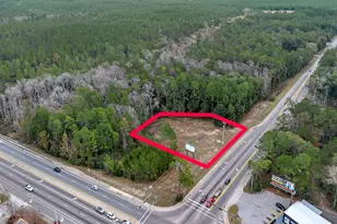 1 Ac Lot N St Hwy 20, Freeport, FL 32439 - Photo 1