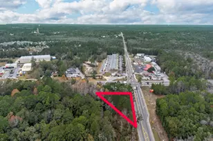 Lot S St Hwy 20, Freeport, FL 32439 - Photo 1