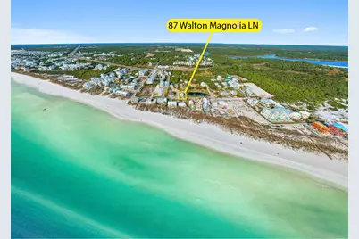 87 Walton Magnolia Lane, Inlet Beach, FL 32461 - Photo 16