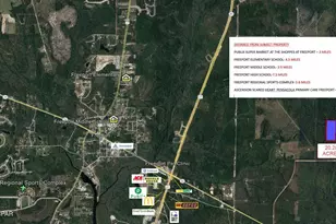 000 Joe Dugger Rd, Freeport, FL 32439 - Photo 1