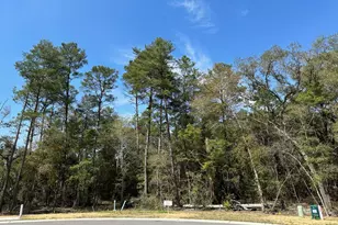 524 Caribou Ct, Niceville, FL 32578 - Photo 1