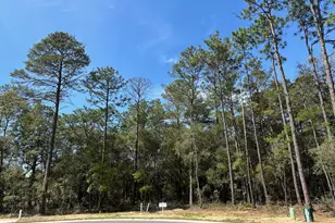 322 Gazelle Ct, Niceville, FL 32578 - Photo 1