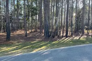 Lot 1-16 Mallard Lane, Santa Rosa Beach, FL 32459 - Photo 12