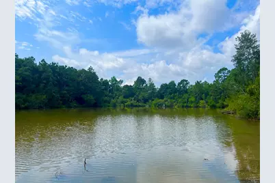 114 Tranquility Drive, Crestview, FL 32536 - Photo 4