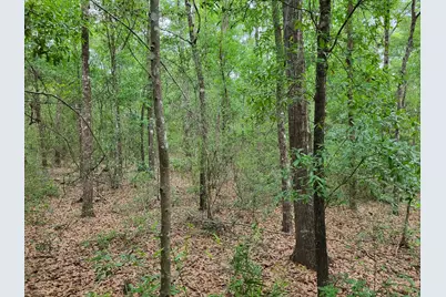 6.8 Acres E Redstone Ave, Crestview, FL 32536 - Photo 6