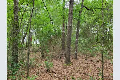 6.8 Acres E Redstone Ave, Crestview, FL 32536 - Photo 12