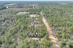 290 Lee Ann Ln, Defuniak Springs, FL 32433 - Photo 4