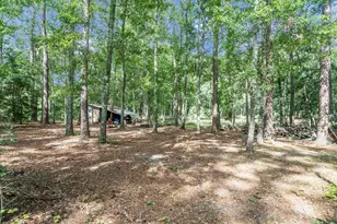 80 Wain Huckabee Rd, Paxton, FL 32567 - Photo 40