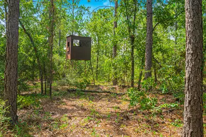 5263 Coy Burgess Loop, Defuniak Springs, FL 32435 - Photo 94