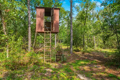 5263 Coy Burgess Loop Loop, Defuniak Springs, FL 32435 - Photo 44