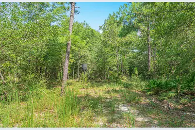 5263 Coy Burgess Loop Loop, Defuniak Springs, FL 32435 - Photo 42