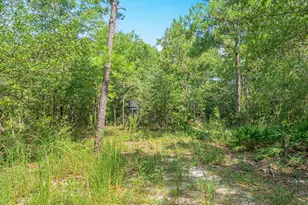 5263 Coy Burgess Loop Loop, Defuniak Springs, FL 32435 - Photo 42