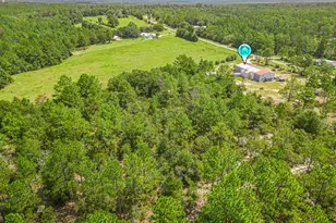 5263 Coy Burgess Loop Loop, Defuniak Springs, FL 32435 - Photo 36