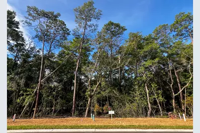 106 Tarragon Run, Niceville, FL 32578 - Photo 2