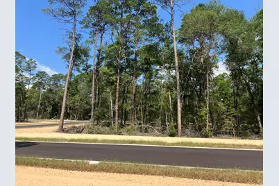 410 Sorrel Way, Niceville, FL 32578 - Photo 1