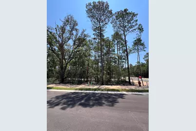 410 Sorrel Way, Niceville, FL 32578 - Photo 2