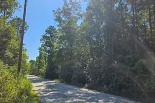 Lot 37 Plantation Ln, Defuniak Springs, FL 32433 - Photo 1