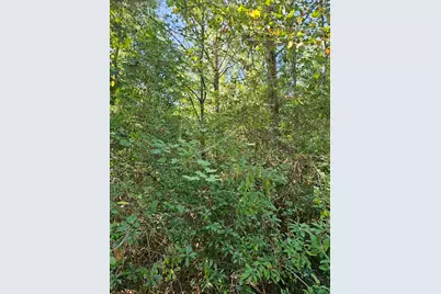 Lot 37 Plantation Lane, Defuniak Springs, FL 32433 - Photo 2