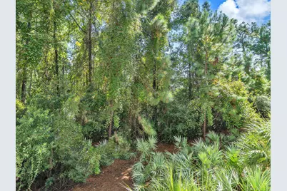 9600 Grand Sandestin Boulevard #UNIT 3106, Miramar Beach, FL 32550 - Photo 26