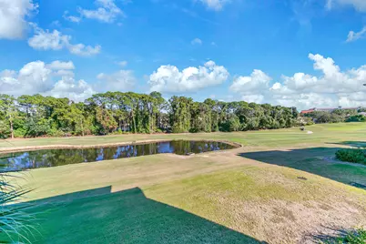 5378 Pine Ridge Lane #5378, Miramar Beach, FL 32550 - Photo 36