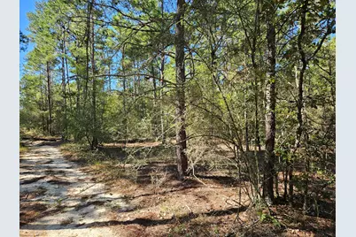 .69 Acre E Dogwood East Avenue, Defuniak Springs, FL 32433 - Photo 10