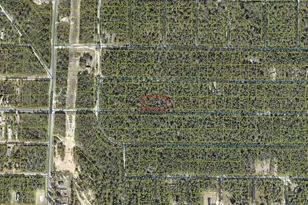 69 Acre E Dogwood East Ave, Defuniak Springs, FL 32433 - Photo 1