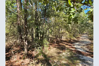 .69 Acre E Dogwood East Avenue, Defuniak Springs, FL 32433 - Photo 4